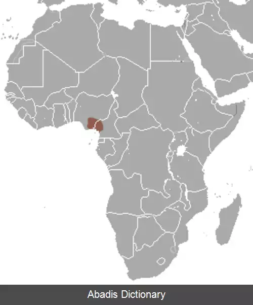 عکس زرین پوش کالابار