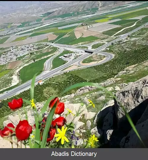 عکس کته باشت