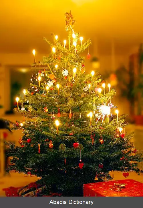 عکس آه ای درخت کریسمس