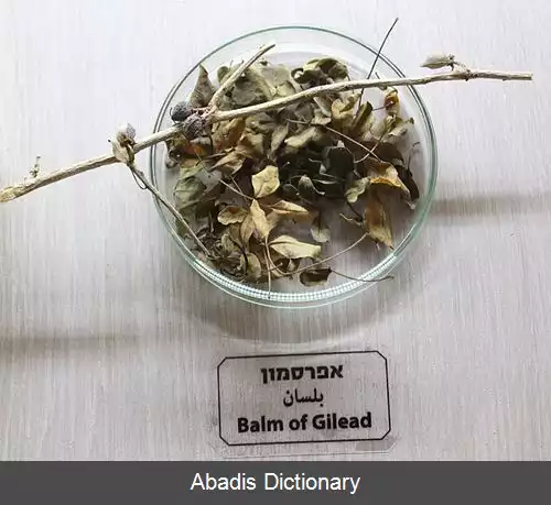 عکس مرهم گیلیاد
