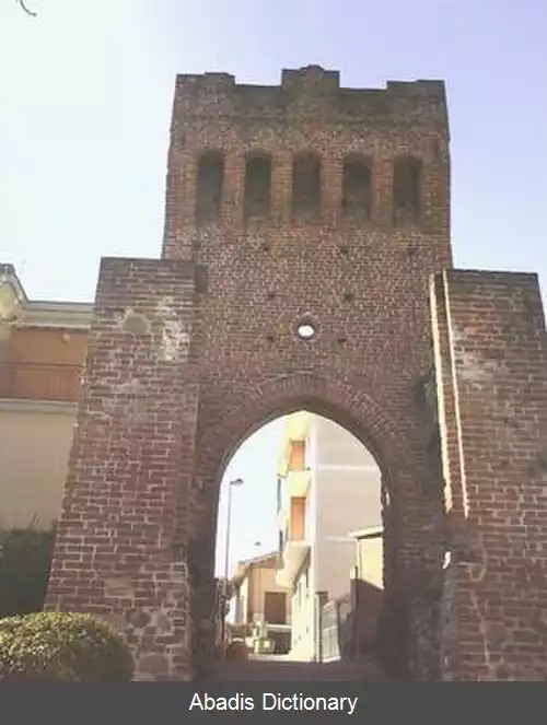 عکس بیناسکو