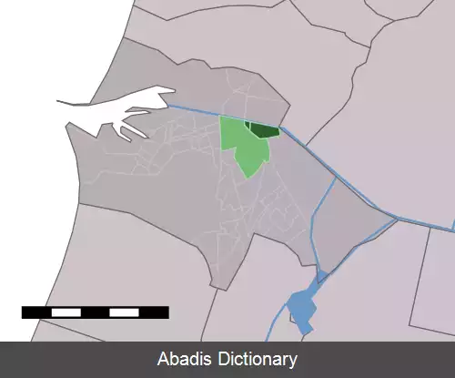عکس ولسن زوید