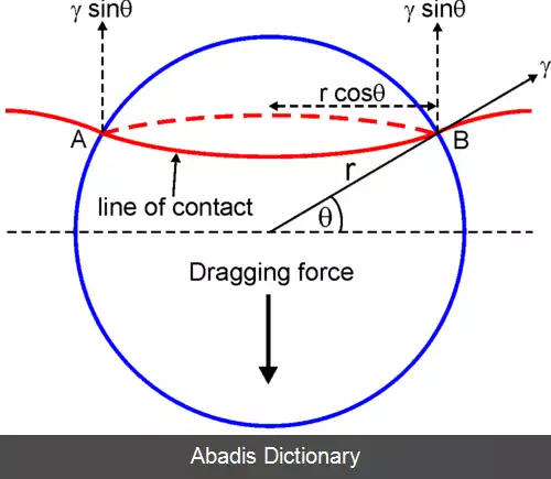 عکس زنر پینینگ