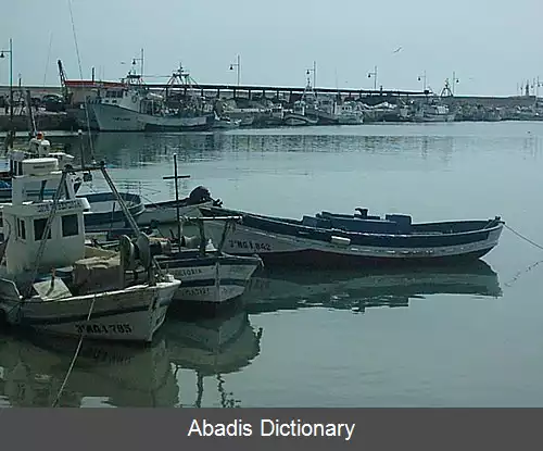 عکس استیپونا