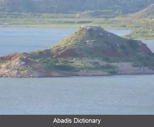 عکس فریچ تگزاس