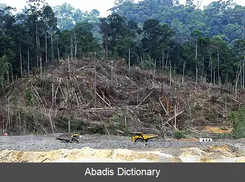 عکس فروپاشی بوم شناختی