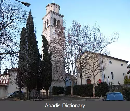 عکس زگونیکو