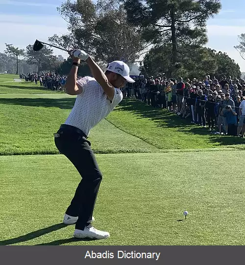 عکس زندر شاوفلی