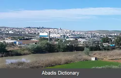 عکس منخیبار