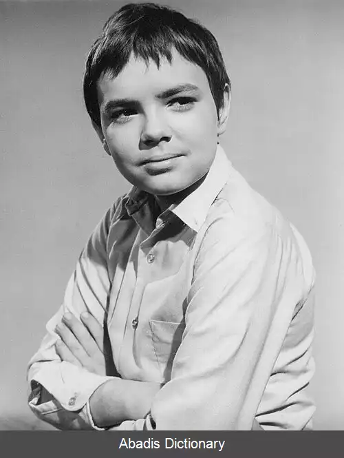 عکس استفان آرنگریم