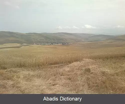 عکس اودلو