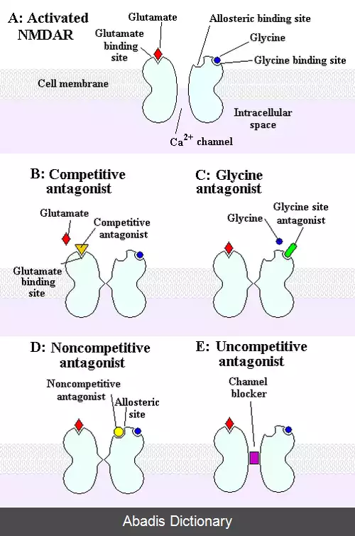 عکس آنتاگونیست NMDA