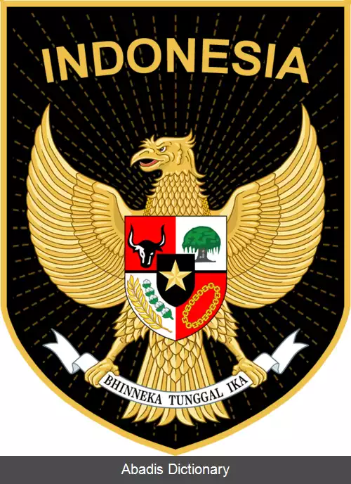 عکس تیم ملی فوتبال اندونزی