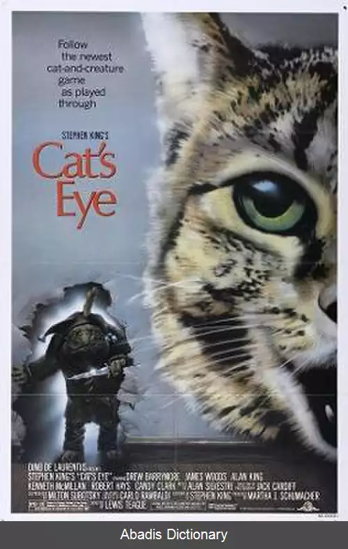 عکس چشم گربه (فیلم ۱۹۸۵)