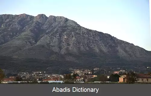 عکس بونئا