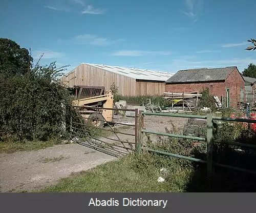 عکس پیکتان چشر