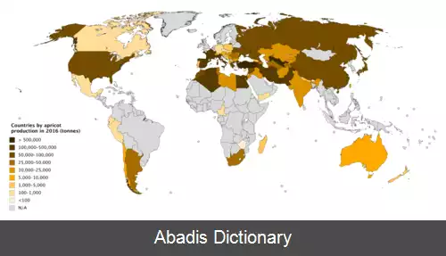 عکس فهرست کشورها بر پایه تولید زردآلو