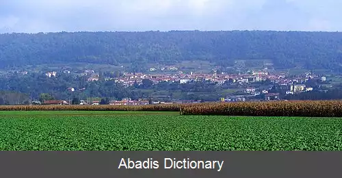 عکس پیورونه