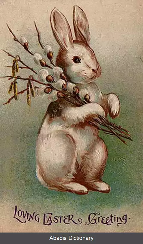 عکس خرگوش عید پاک