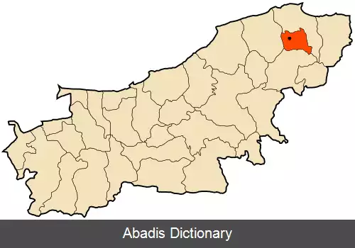 عکس بن شود