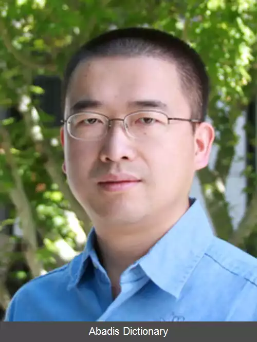 عکس فریم ورک رز