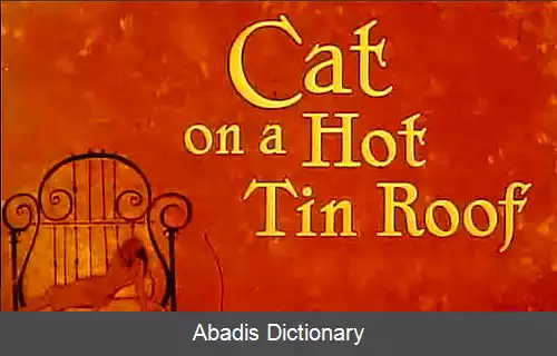 عکس گربه روی شیروانی داغ (فیلم ۱۹۵۸)