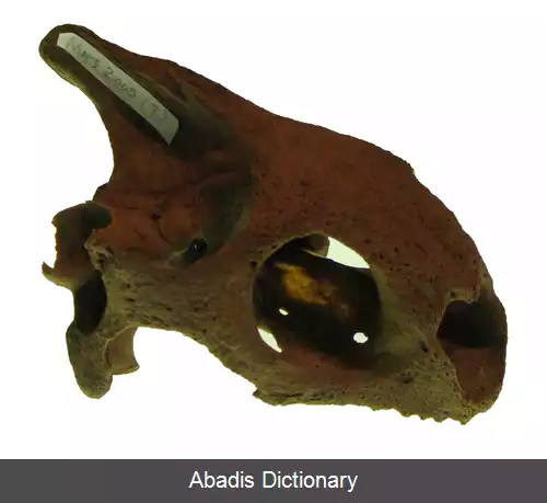 عکس استوانه سپر