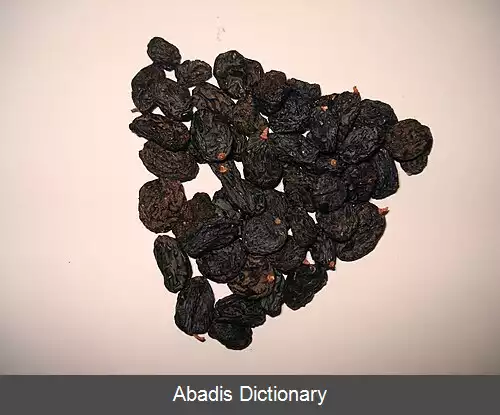 عکس سیاه کشمشی