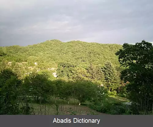 عکس سیخوته آلین