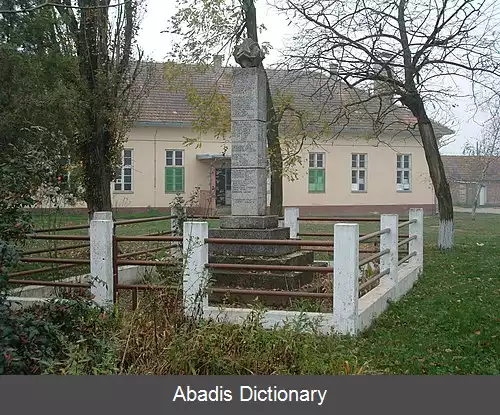 عکس بوسوت (سرمسکا میتروویتسا)