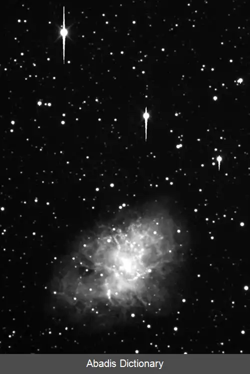 عکس فورتونا ۱۹