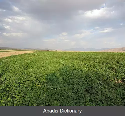 عکس دهستان سرپنیران