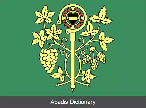 عکس بلشانی و لوون