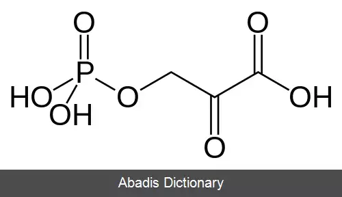 عکس فسفوهیدروکسی پیروویک اسید