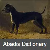عکس بول و تریر