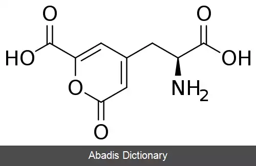 عکس استیزولوبیک اسید