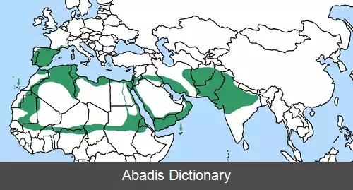 عکس سنگ چشم خاکستری جنوبی