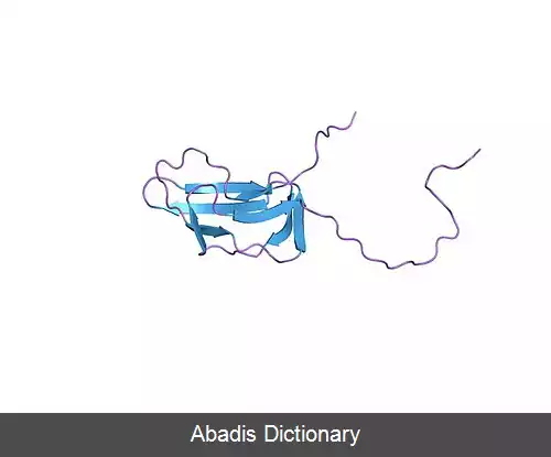 عکس دی هیدرولیپویل ترانس استیلاز