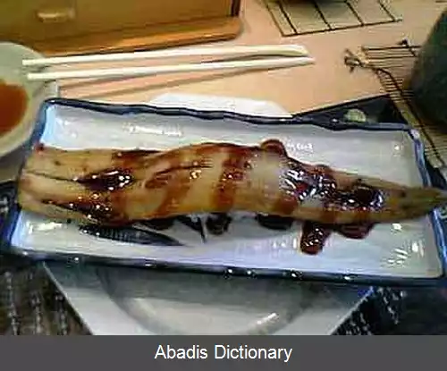 عکس فهرست انواع سوشی