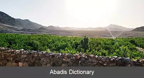 عکس دولای قارقی