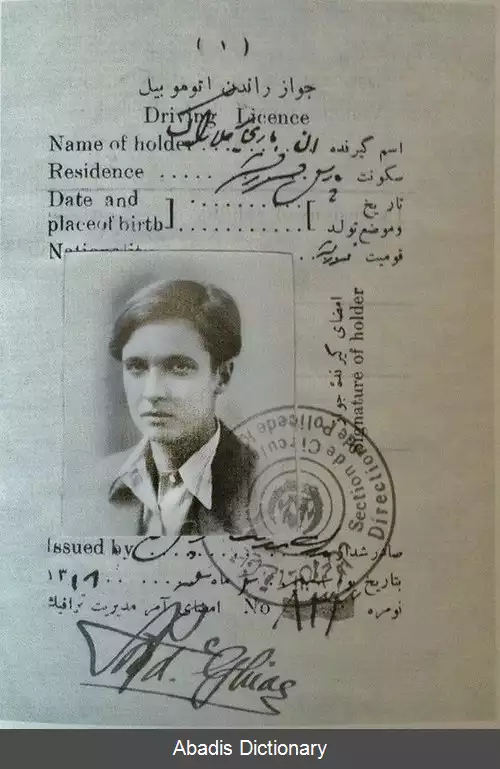 عکس آنه ماری شوارتسنباخ