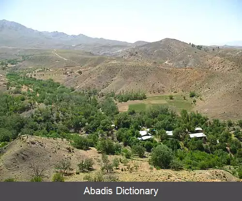 عکس سردمشک