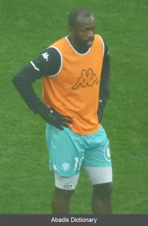 عکس استفان باهوکن