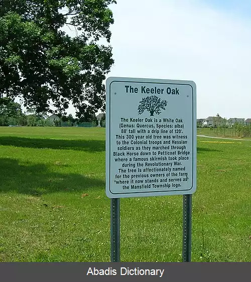 عکس منسفیلد نیوجرسی