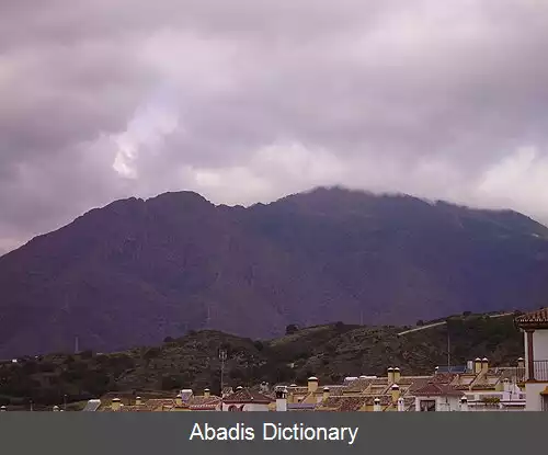 عکس استیپونا