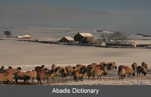 عکس استانهوپ کانتی دورهام