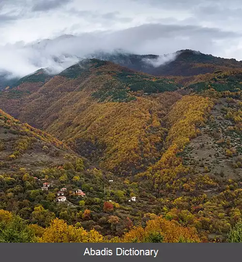 عکس دولنی