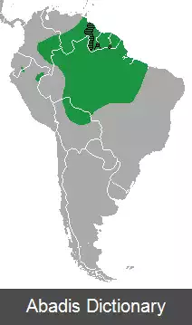 عکس طوطی سرشاهینی