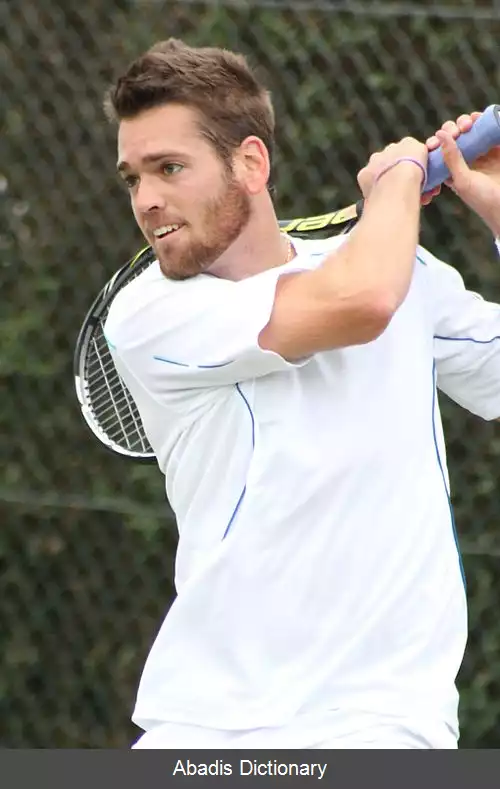 عکس آستین کرایسک