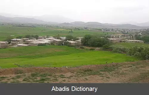 عکس کلکه جان